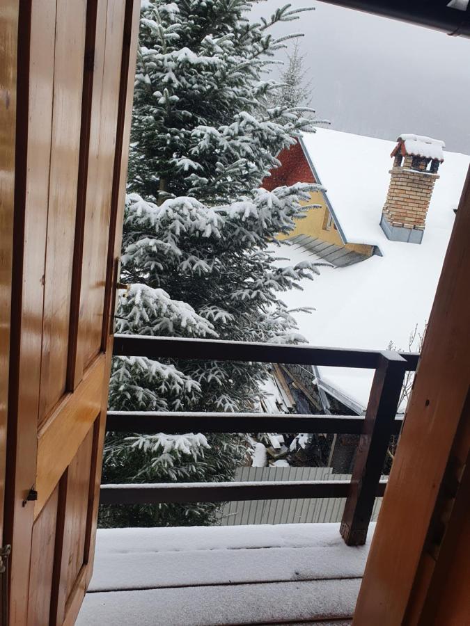 Vila Panselutelor 6 Sinaia Eksteriør billede