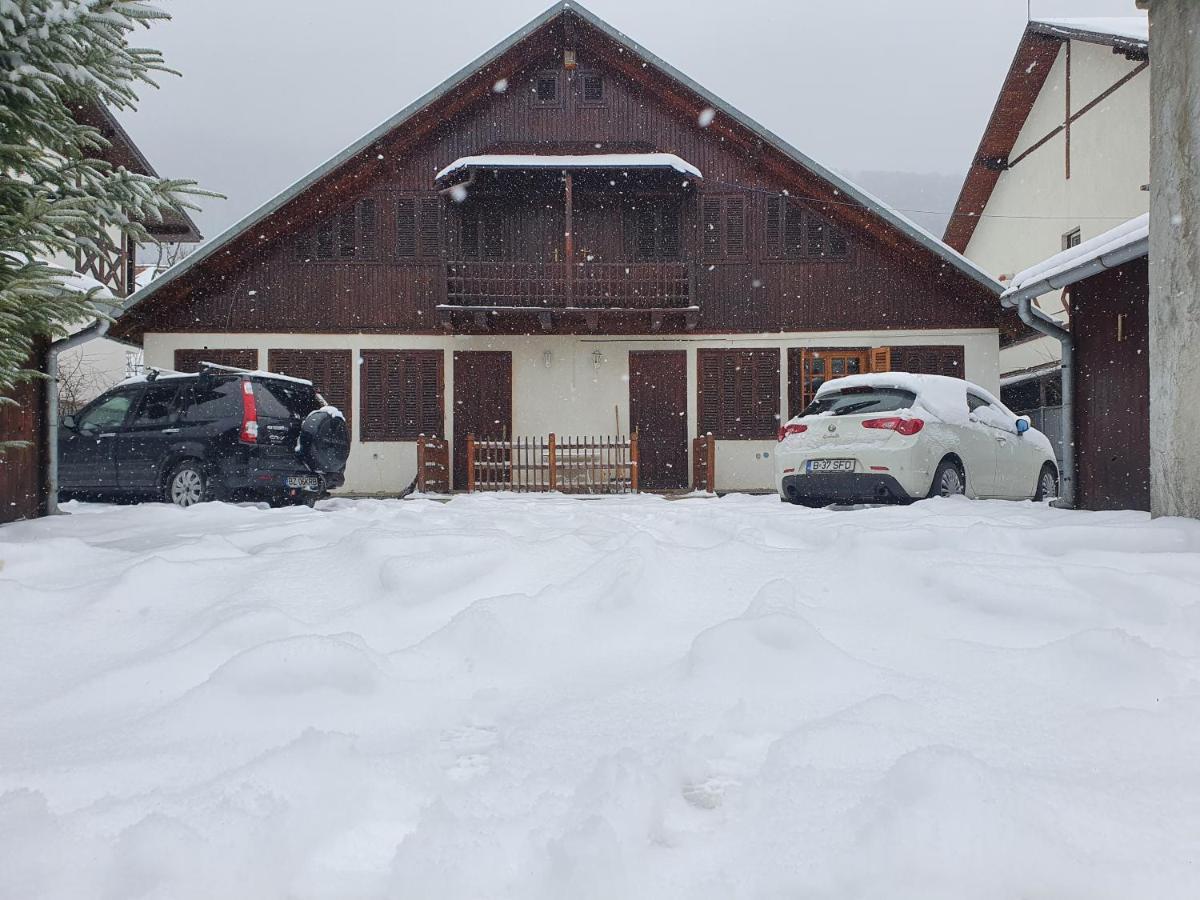 Vila Panselutelor 6 Sinaia Eksteriør billede
